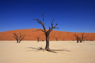 Sossusvlei - Namib Desert
